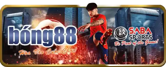Giao diện ứng dụng di động ao88 win thân thiện, dễ sử dụng cho cá cược thể thao.